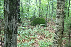 A trail in need of breadcrumbs