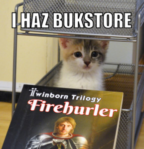 Kitten running a bookstore