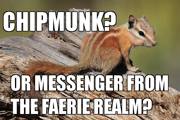Chipmunk Messenger
