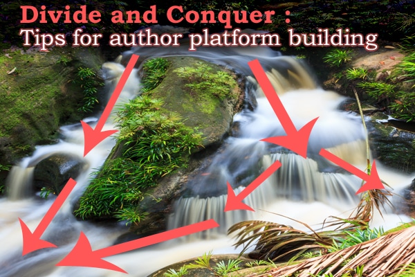 Divide and Conquer: Author Platform Building