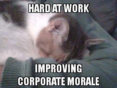 Chief_Morale_Officer